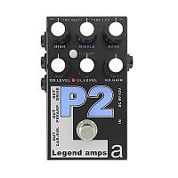 AMT P-2 Legend Amps 2